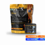 Bundle Gainer Creatine